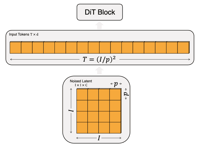 Input specifications for DiT