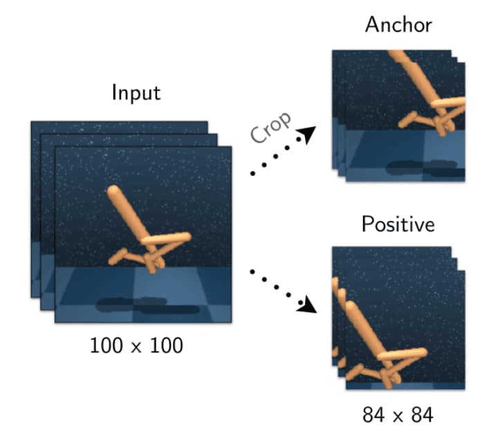 Visually illustrating the process of generating an anchor and its positive using stochastic random crops