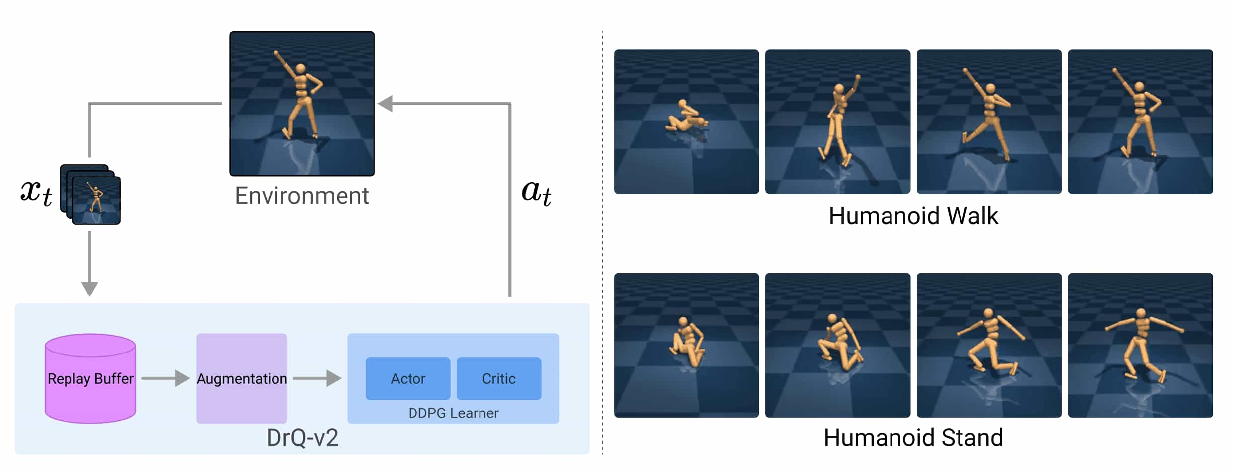 DrQ-v2 framework and examples of walking and standing behaviors learned by DrQ-v2 for a complex humanoid agent from DMC