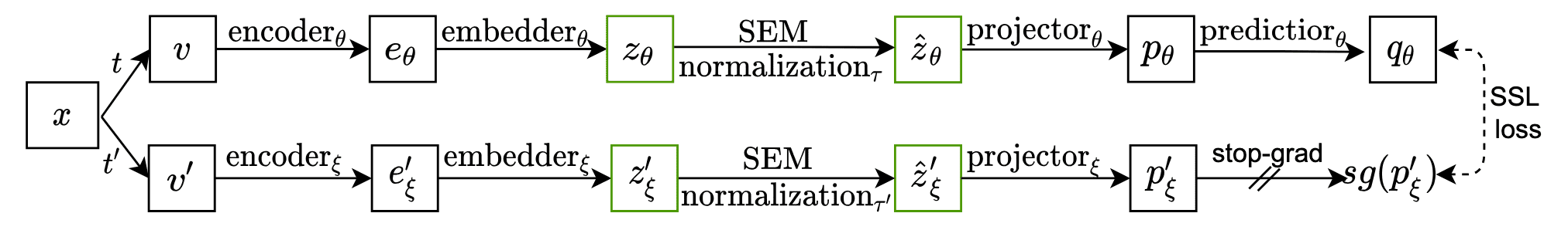 Integration of SEM awith BYOL