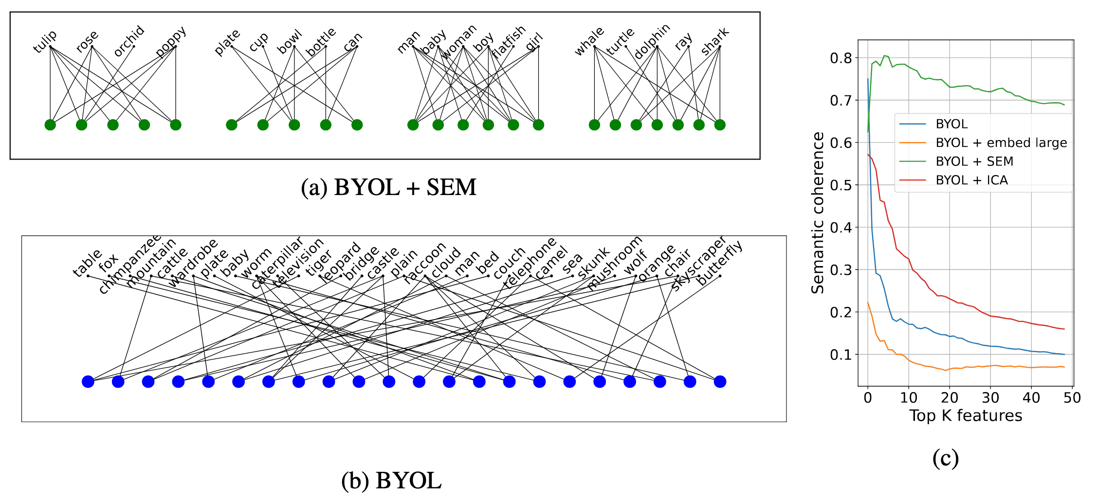 Semantic coherence of the features