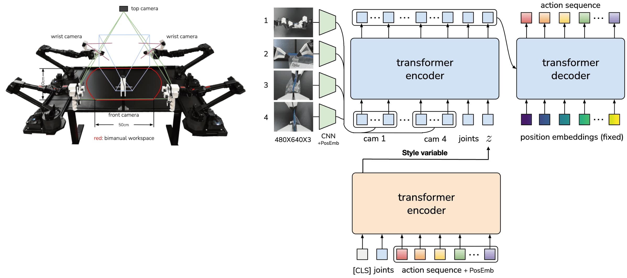 Architecture of Action Chunking with Transformers