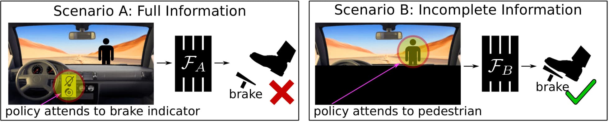 Causal misidentification: more information yields worse imitation learning performance