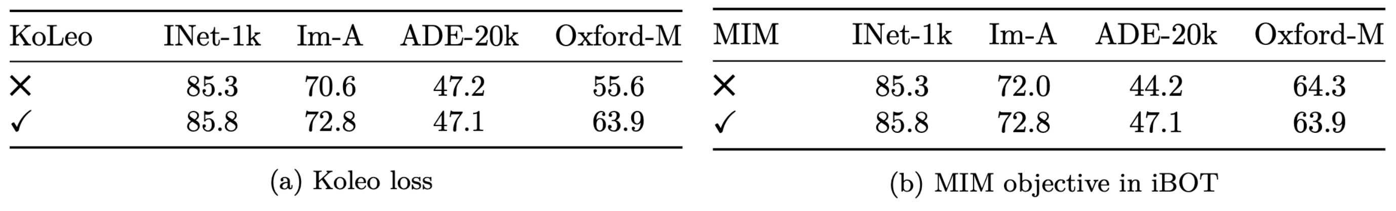Effect of KoLeo loss term and MIM from iBOT on Linear Probing