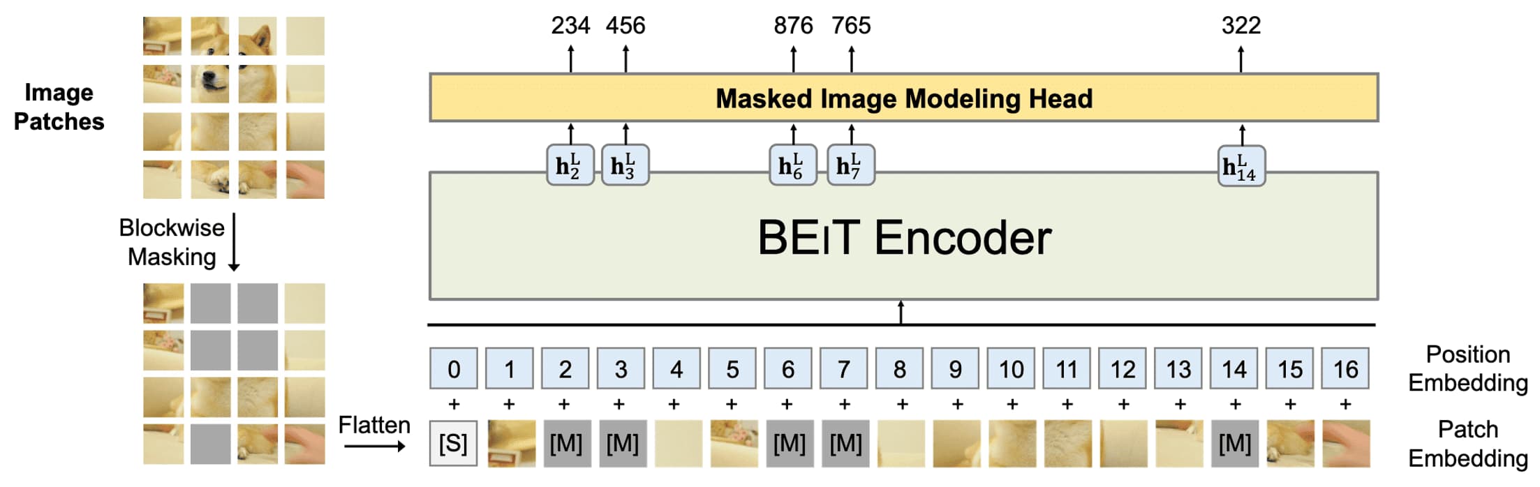 Masked Image Modeling of BEiT